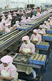 Production de conserves